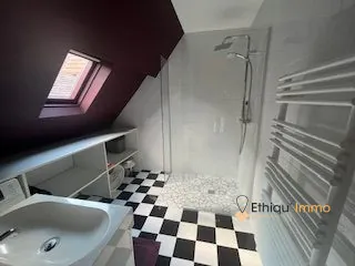 Salle d'eau Appartement authentique au centre historique de Troyes avec façade à pans de bois 