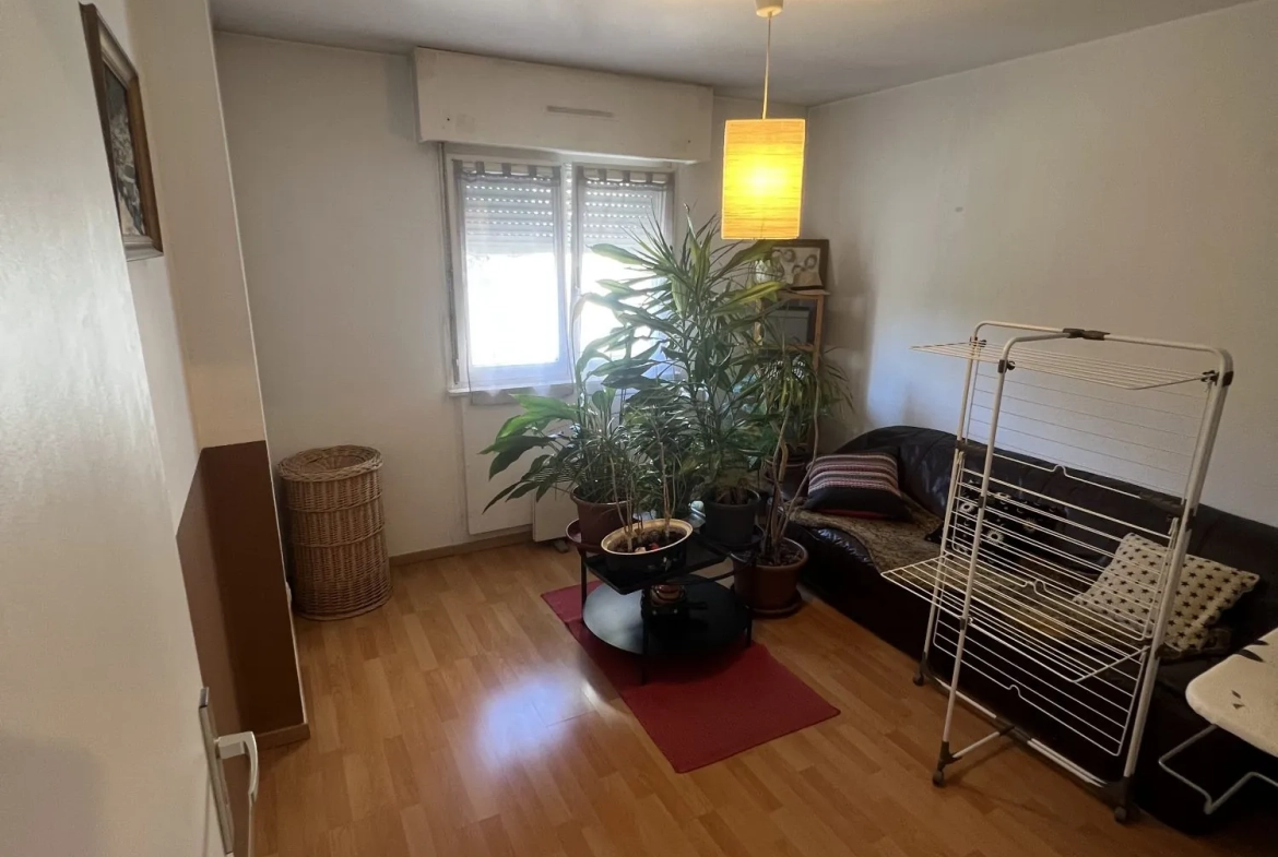 Appartements 3 pièces lumineux à Schiltigheim - 70 m² avec terrasse et cave 