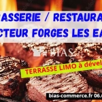 Restaurant-brasserie avec licence IV et terrasse à Forges-les-Eaux — Affaire à fort potentiel