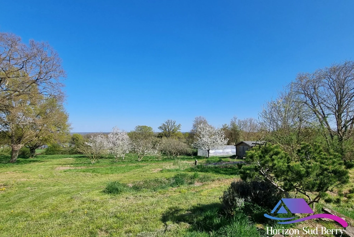 vue de derrière la grange Belle propriété de campagne avec maison, grange et terrain à Pouligny-Notre-Dame 
