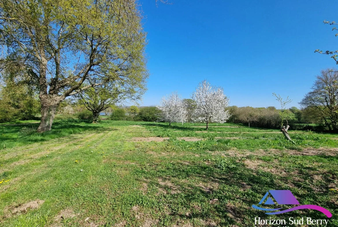 terrain Belle propriété de campagne avec maison, grange et terrain à Pouligny-Notre-Dame 
