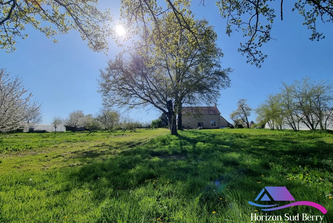 vue du fond du terrain Belle propriété de campagne avec maison, grange et terrain à Pouligny-Notre-Dame 