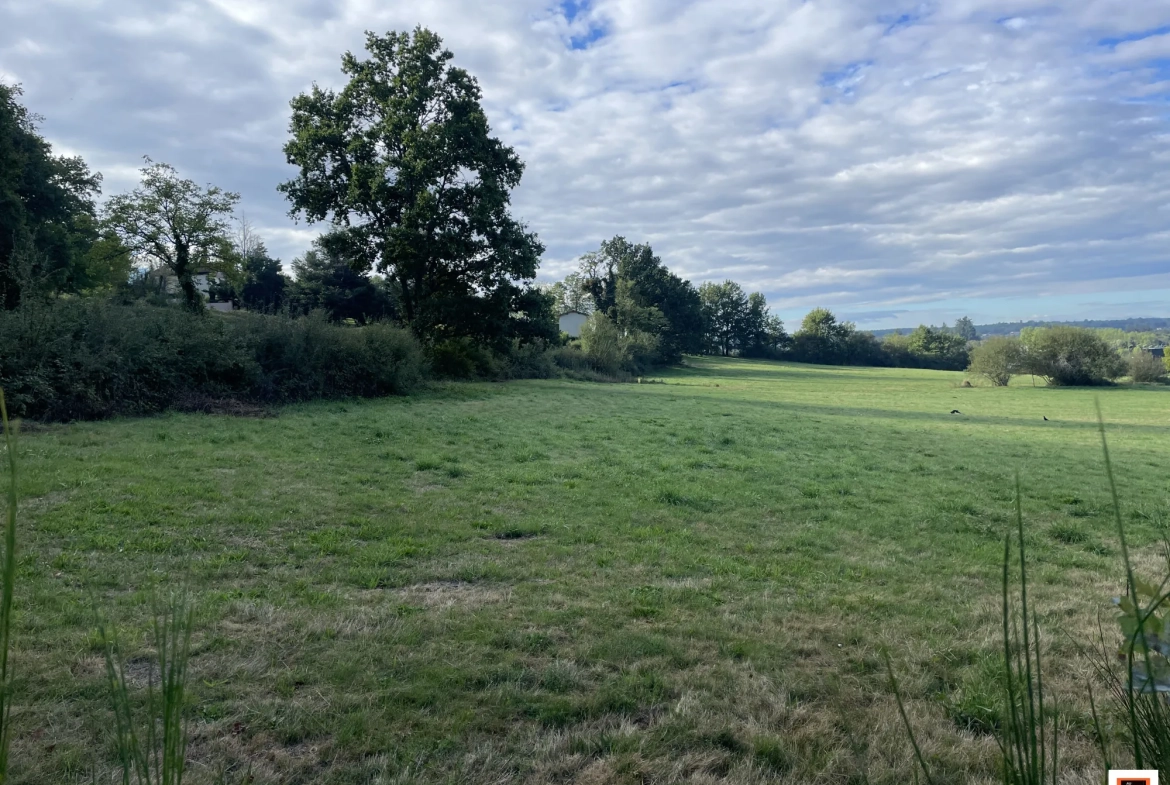 Terrain constructible de 4000 m² à Thiers, idéal pour votre projet de construction 