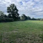 Terrain constructible de 4000 m² à Thiers, idéal pour votre projet de construction
