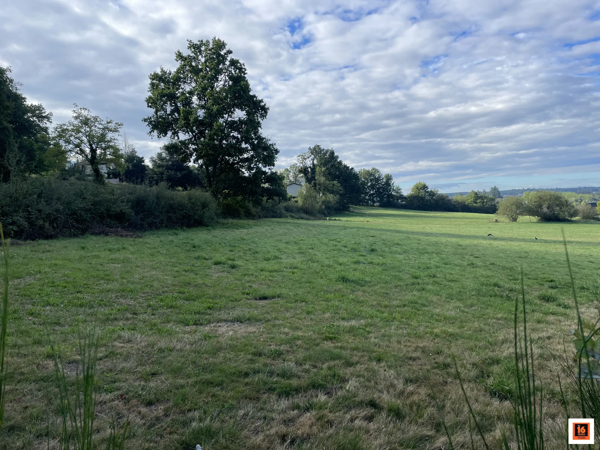 Terrain constructible de 4000 m² à Thiers, idéal pour votre projet de construction 