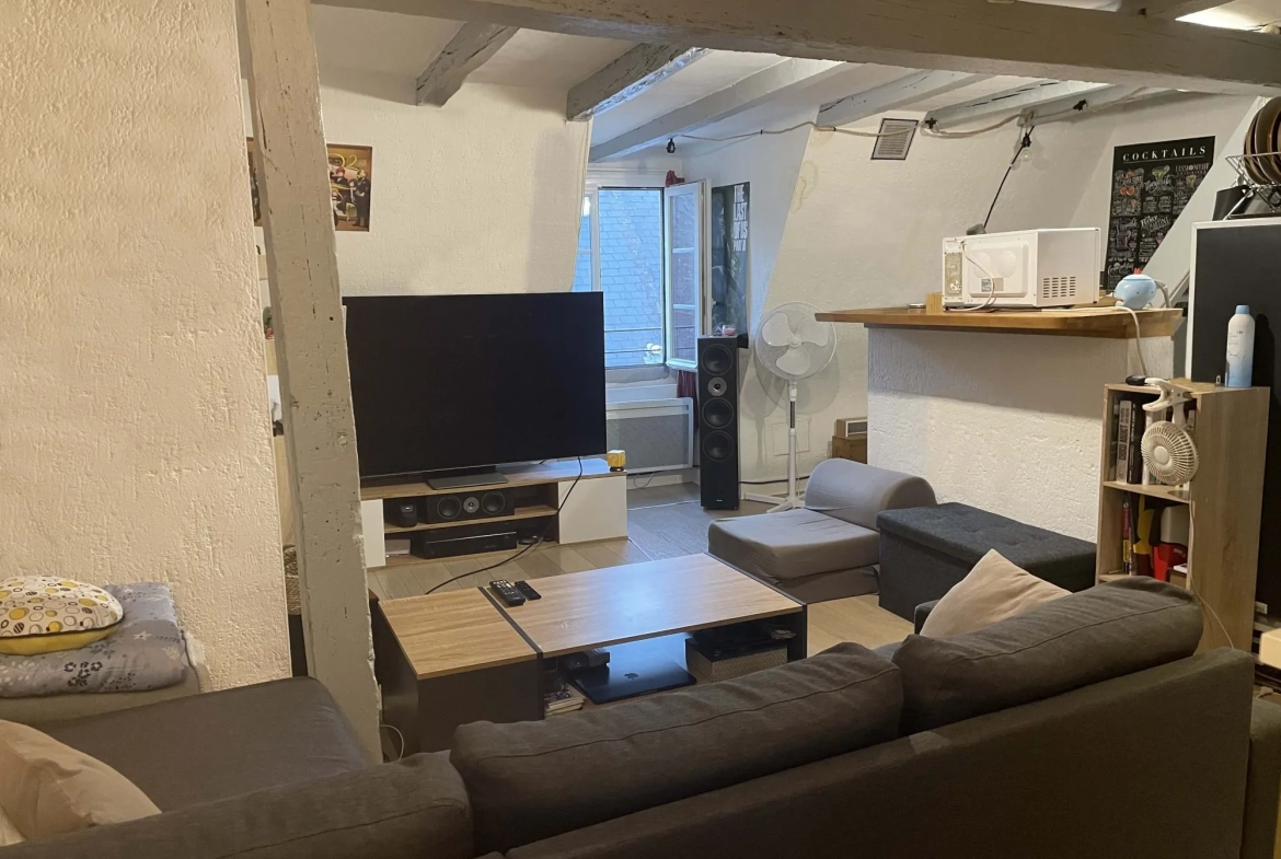 vue du salon Appartement T1 à vendre au centre de Tours avec cave et local à vélos 