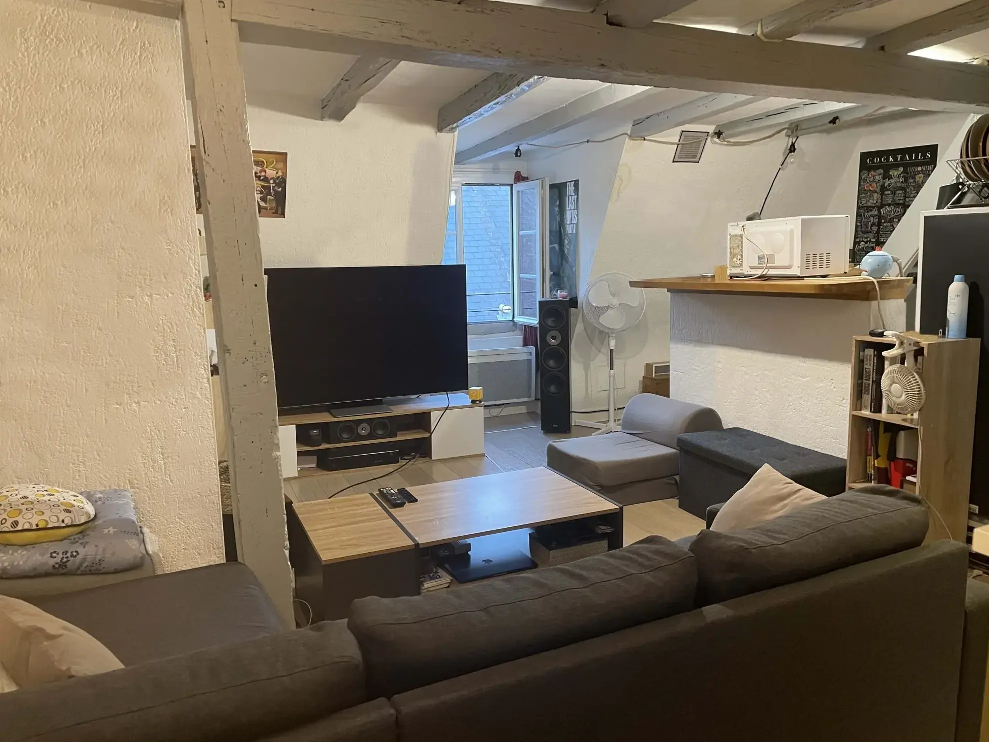 vue du salon Appartement T1 à vendre au centre de Tours avec cave et local à vélos 
