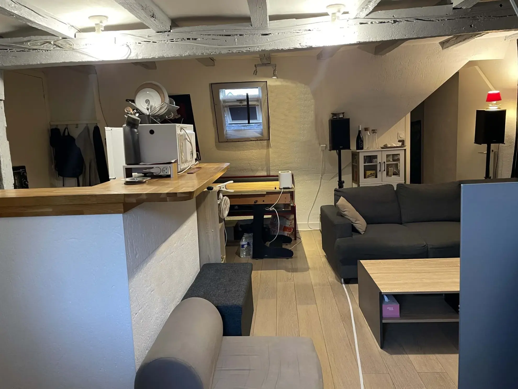 vue du salon Appartement T1 à vendre au centre de Tours avec cave et local à vélos 