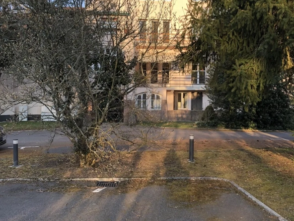 Appartement atypique avec duplex, terrasse et garage à Thaon-les-Vosges