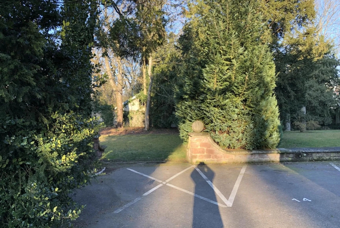 Appartement atypique avec duplex, terrasse et garage à Thaon-les-Vosges 