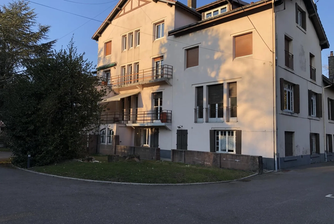 Appartement atypique avec duplex, terrasse et garage à Thaon-les-Vosges 