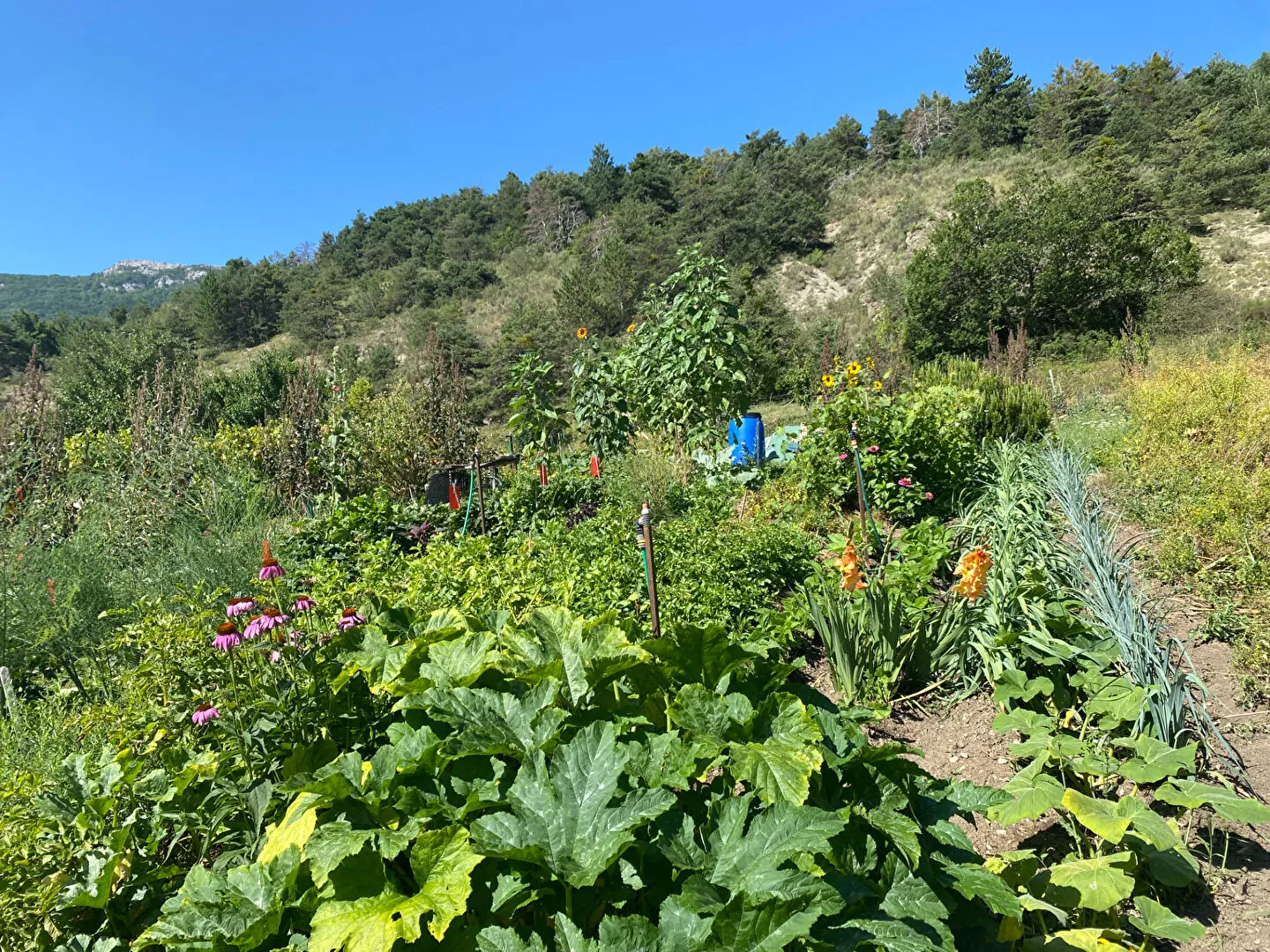 Charmante maison en pierre autonome avec jardin à Saint Pierre d'Argencon 