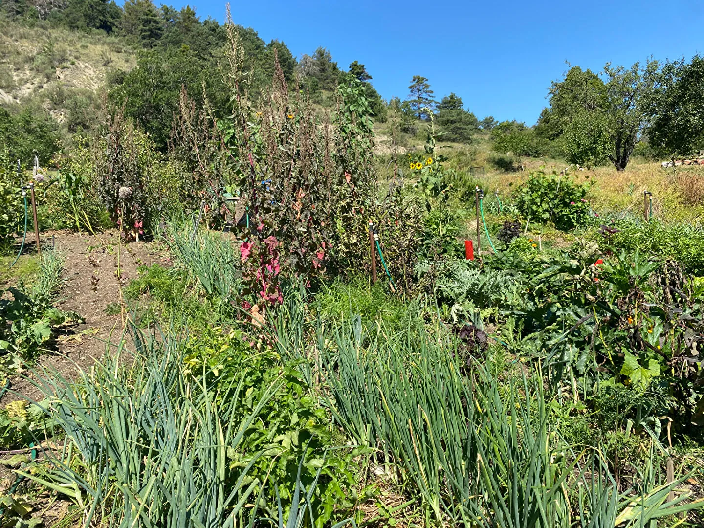 Charmante maison en pierre autonome avec jardin à Saint Pierre d'Argencon 