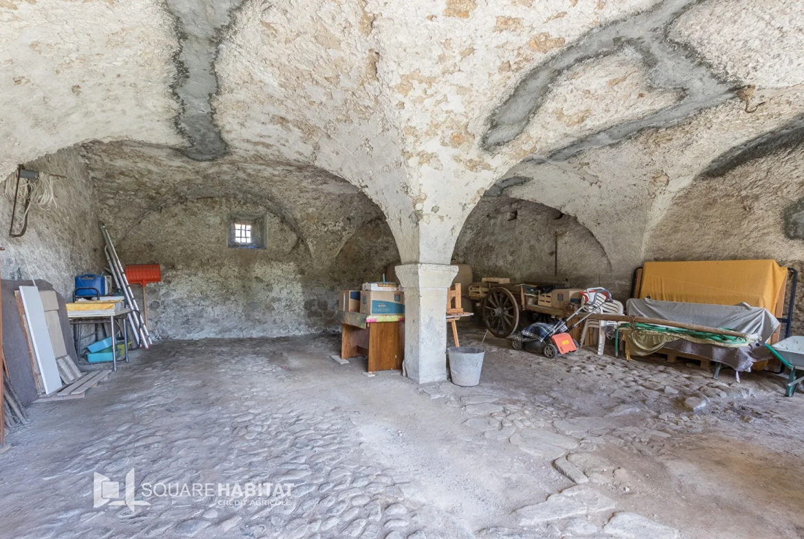 Maison à vendre à La Fare en Champsaur avec vue montagne, grand terrain et potentiel d'agrandissement 