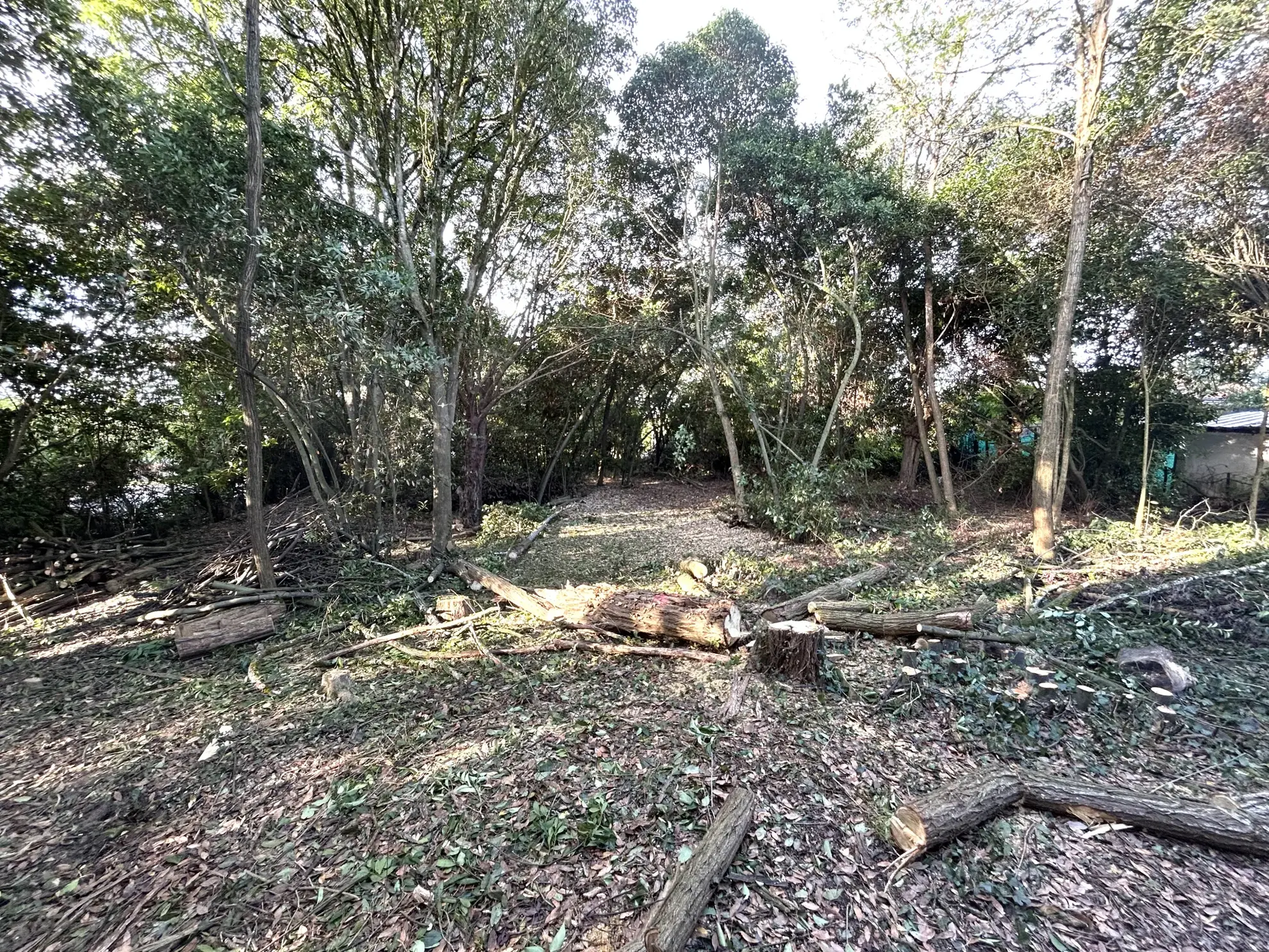 Magnifique maison de maître à rénover à Lapeyrouse Fossat - 260 m² avec terrain arboré 