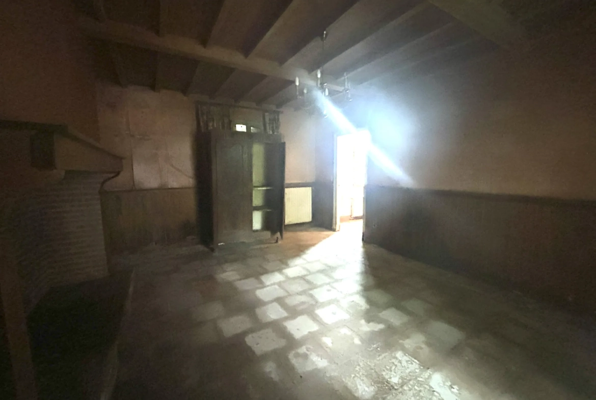 Magnifique maison de maître à rénover à Lapeyrouse Fossat - 260 m² avec terrain arboré 