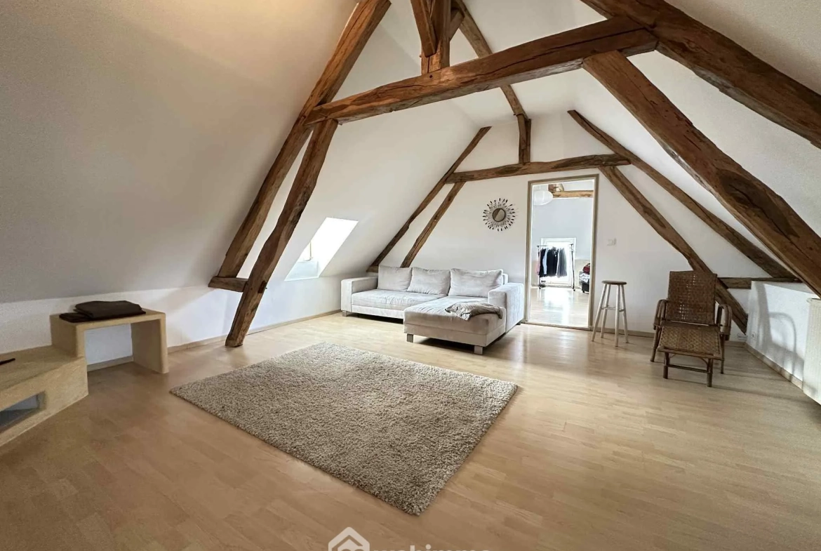 Longère en pierre de 253 m² à Mons-en-Laonnois - Authenticité et Grand Volume 