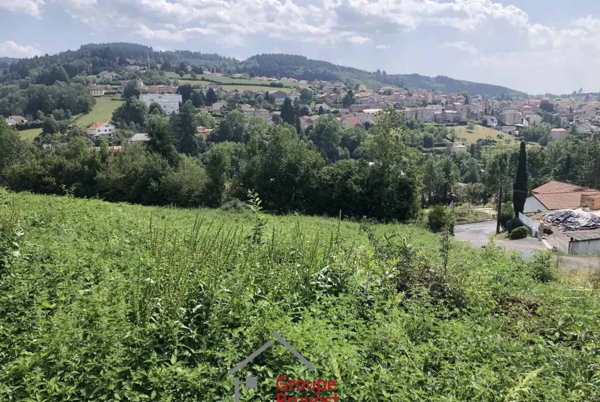 Terrain à bâtir de 5600 m² avec vue panoramique à Cours la Ville 