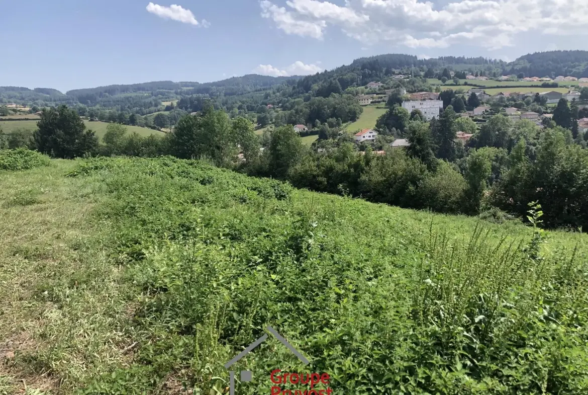 Terrain à bâtir de 5600 m² avec vue panoramique à Cours la Ville 