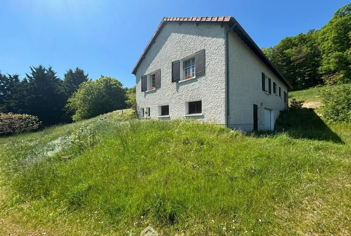 Maison de plain-pied à Vaux-sur-Vienne de 181 m² avec grand terrain 