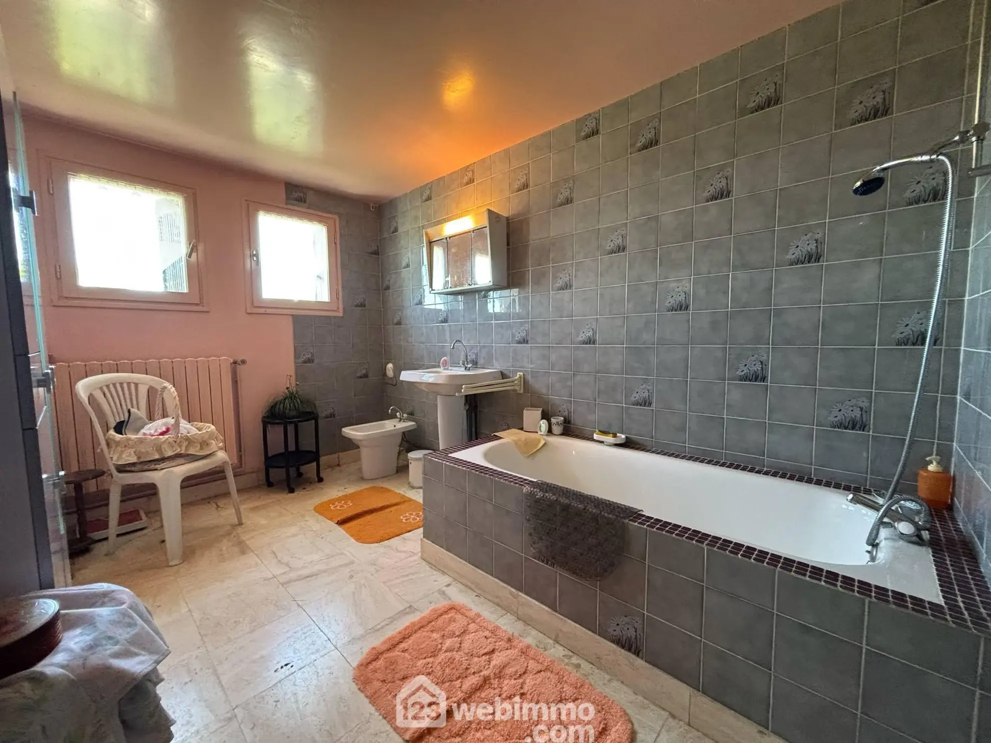 Maison de plain-pied à Vaux-sur-Vienne de 181 m² avec grand terrain 