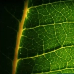 Appartement 2 pièces avec grand balcon à Gap, livraison 2027 - Prix attractif