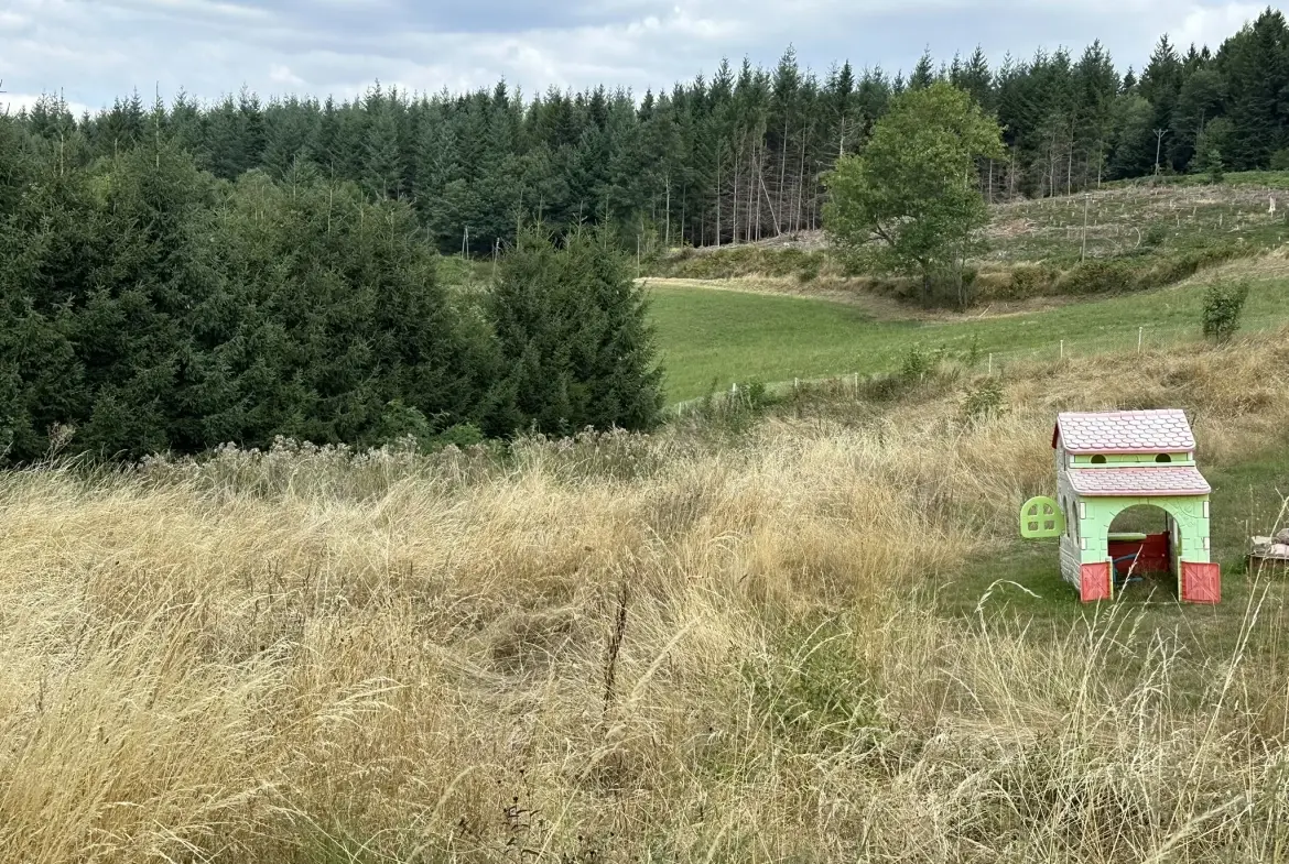 Terrain constructible de 1247 m² à Saint-Just-Malmont en Haute-Loire 