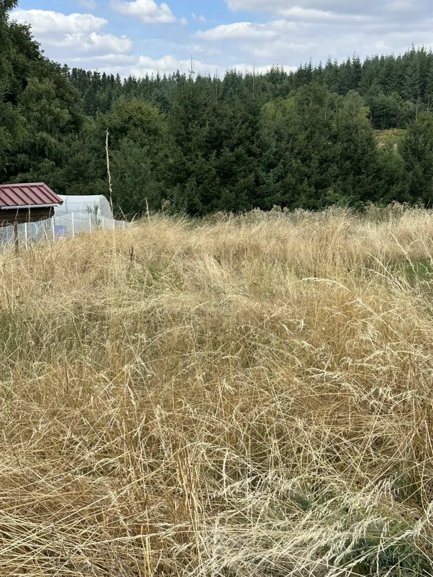 Terrain constructible de 1247 m² à Saint-Just-Malmont en Haute-Loire 