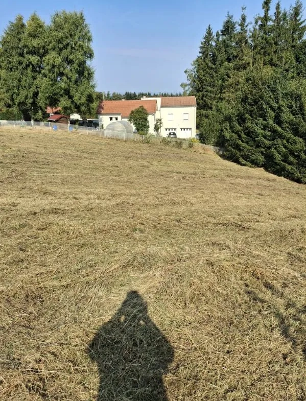 Terrain constructible de 1247 m² à Saint-Just-Malmont en Haute-Loire 