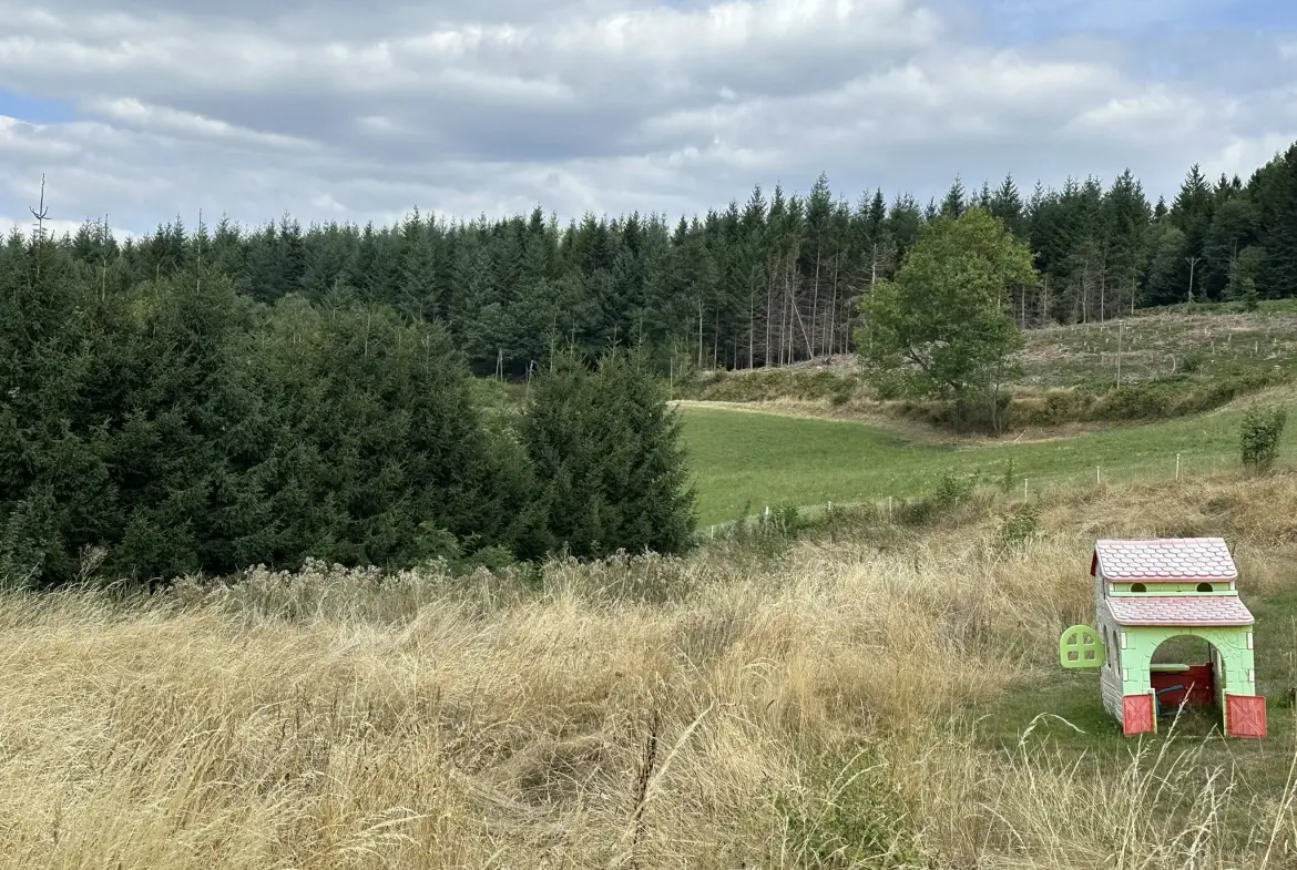 Terrain constructible de 1247 m² à Saint-Just-Malmont en Haute-Loire 