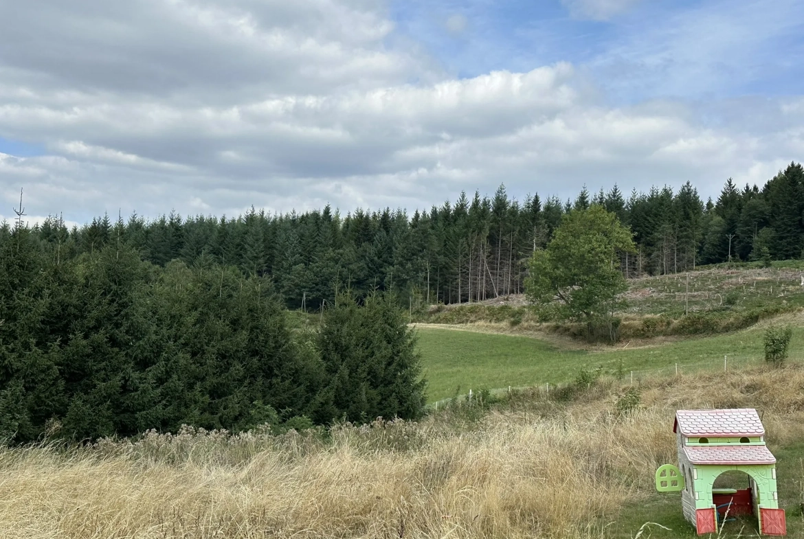 Terrain constructible de 1247 m² à Saint-Just-Malmont en Haute-Loire 