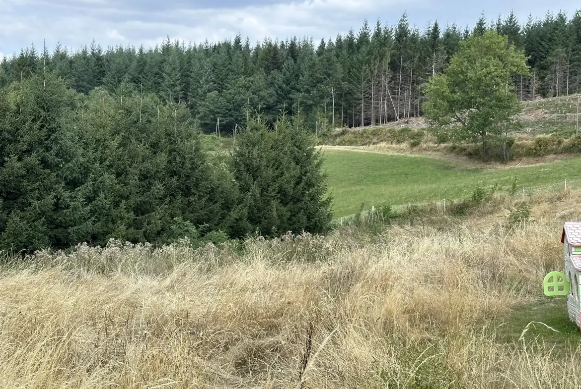 Terrain constructible de 1247 m² à Saint-Just-Malmont en Haute-Loire 