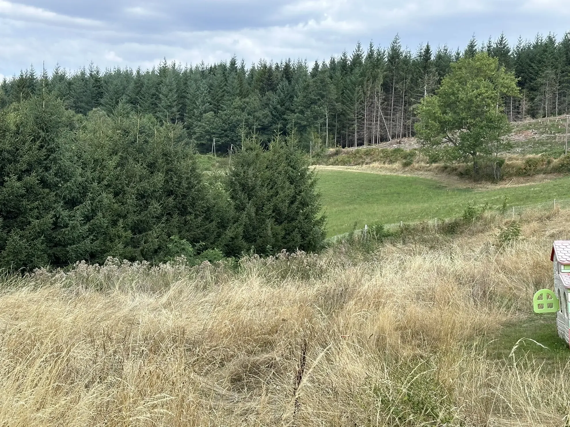 Terrain constructible de 1247 m² à Saint-Just-Malmont en Haute-Loire 