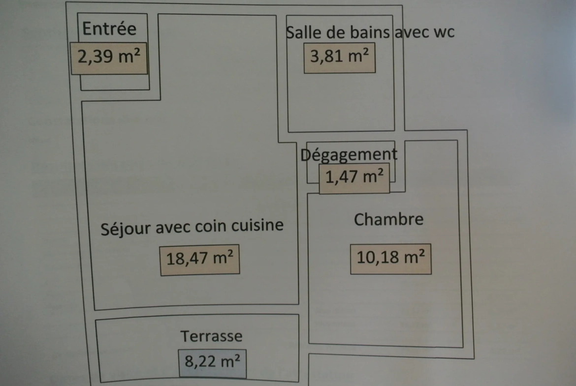 Appartement rez-de-jardin 1 chambre à Marmande avec parking et terrasse 