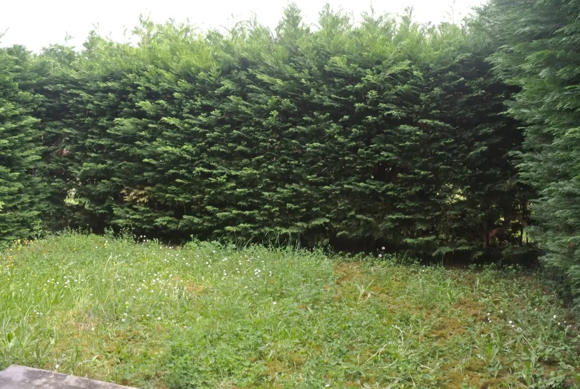 Appartement rez-de-jardin 1 chambre à Marmande avec parking et terrasse 