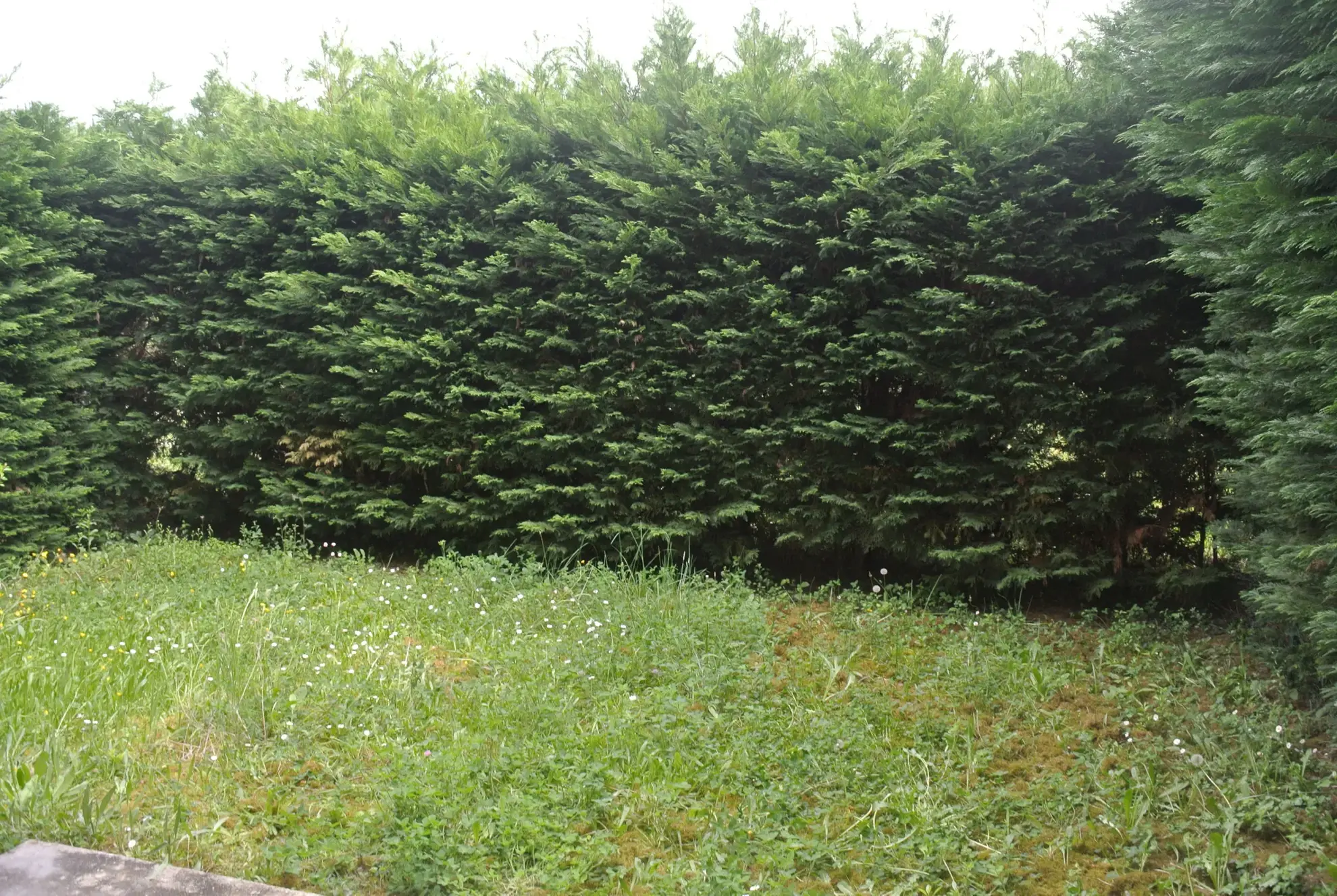 Appartement rez-de-jardin 1 chambre à Marmande avec parking et terrasse 