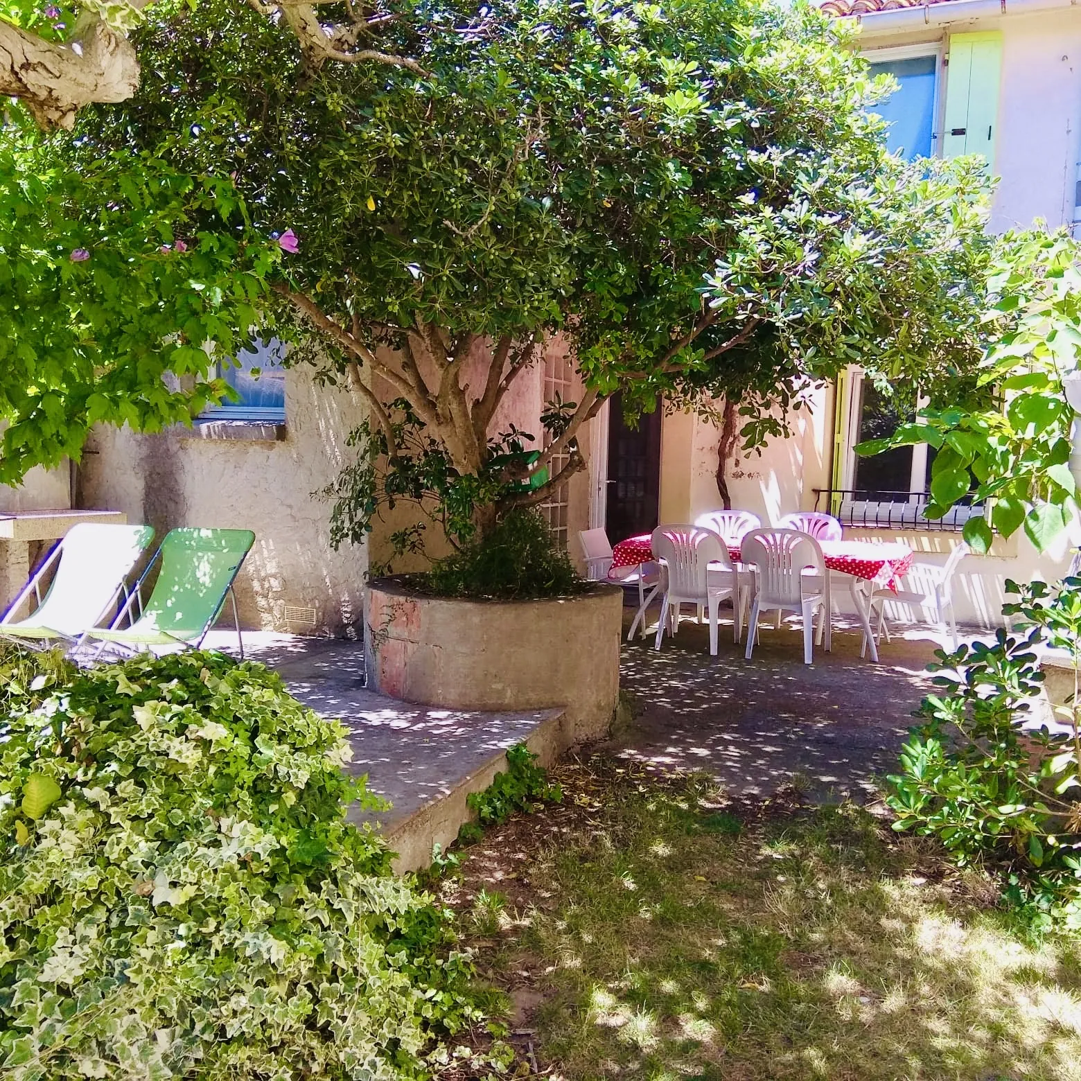 Charmante maison rénovée avec jardin, terrasses et vue dégagée à Montredon des Corbières 