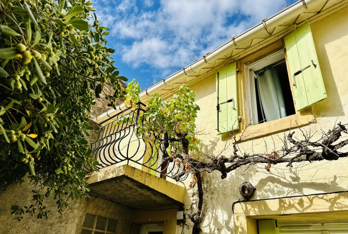 Charmante maison rénovée avec jardin, terrasses et vue dégagée à Montredon des Corbières 