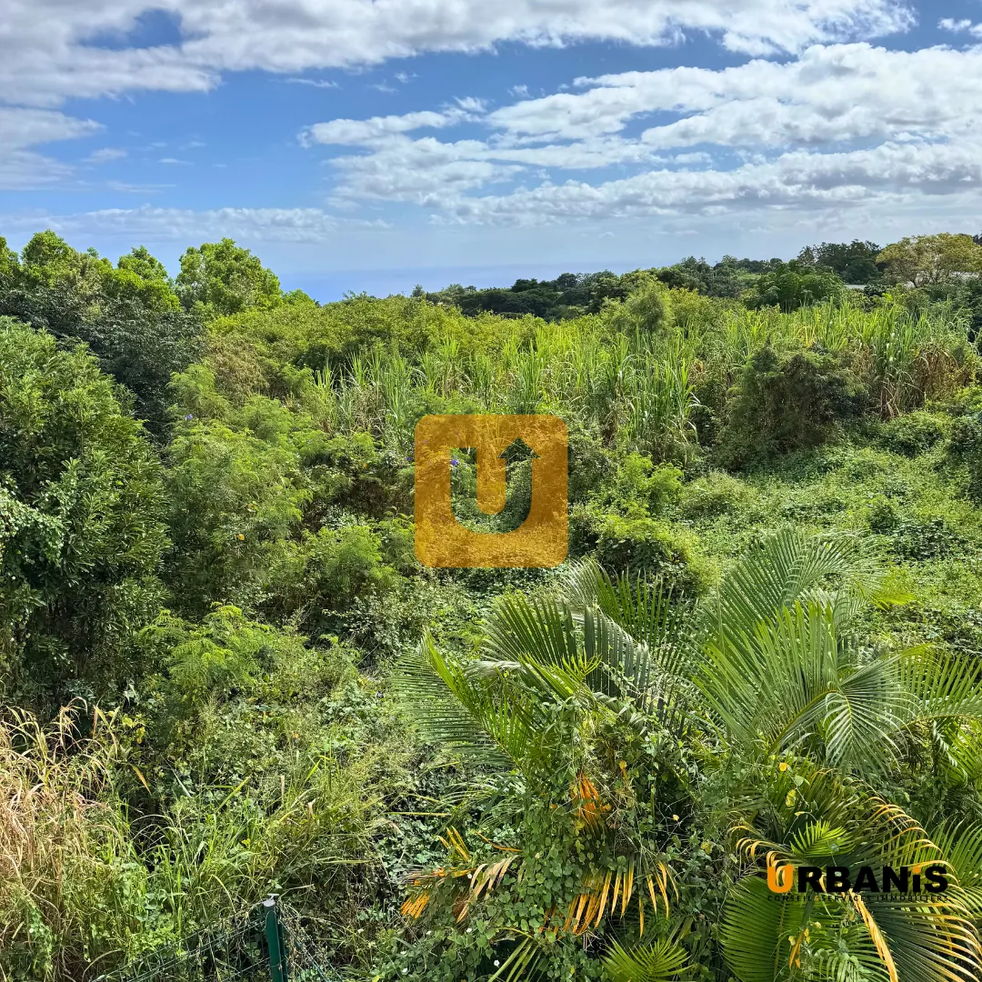 Villa 4 pièces neuve à Bernica, La Réunion - Terrasse, jardin et emplacement idéal 