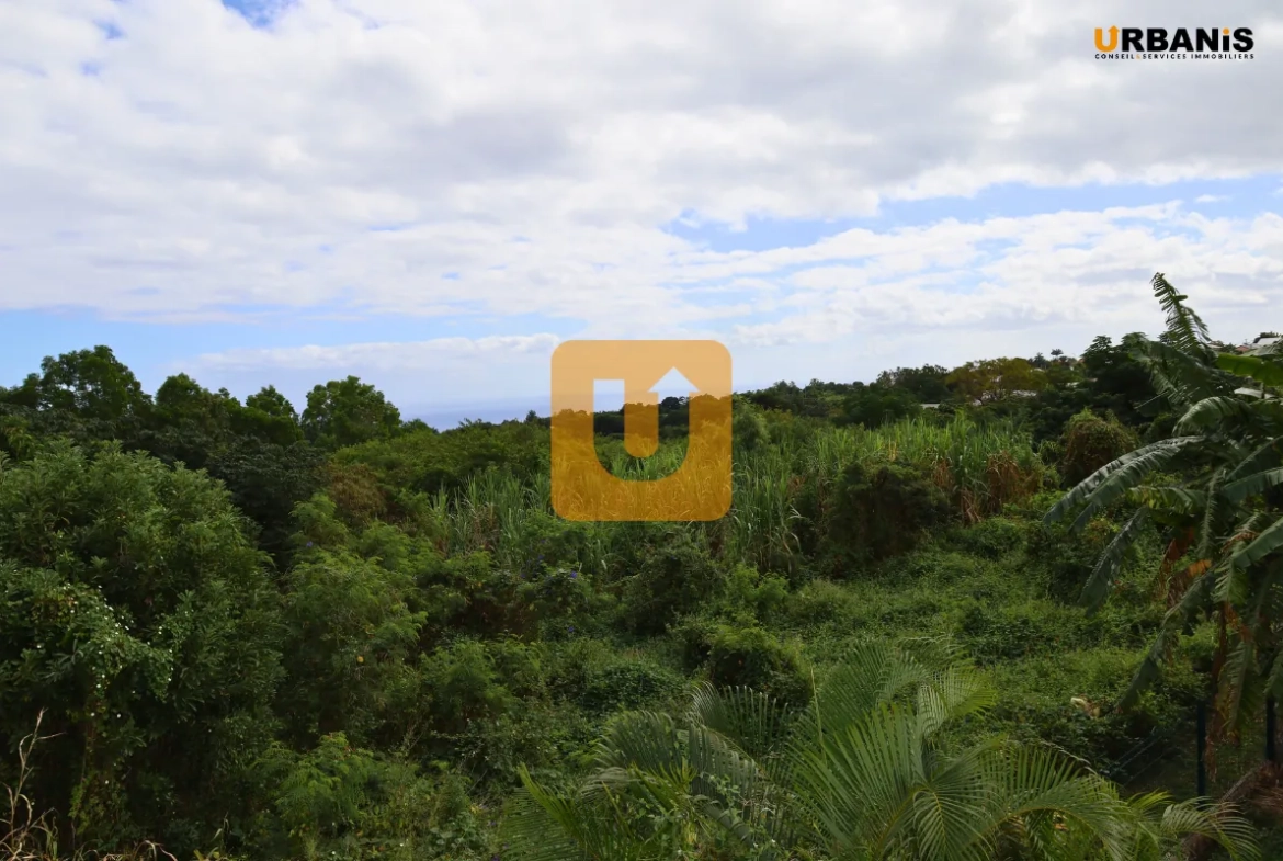 Villa 4 pièces neuve à Bernica, La Réunion - Terrasse, jardin et emplacement idéal 