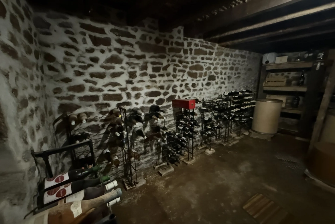 Maison en pierre de 142 m² à Saint Pierre des Nids avec terrain et garage 