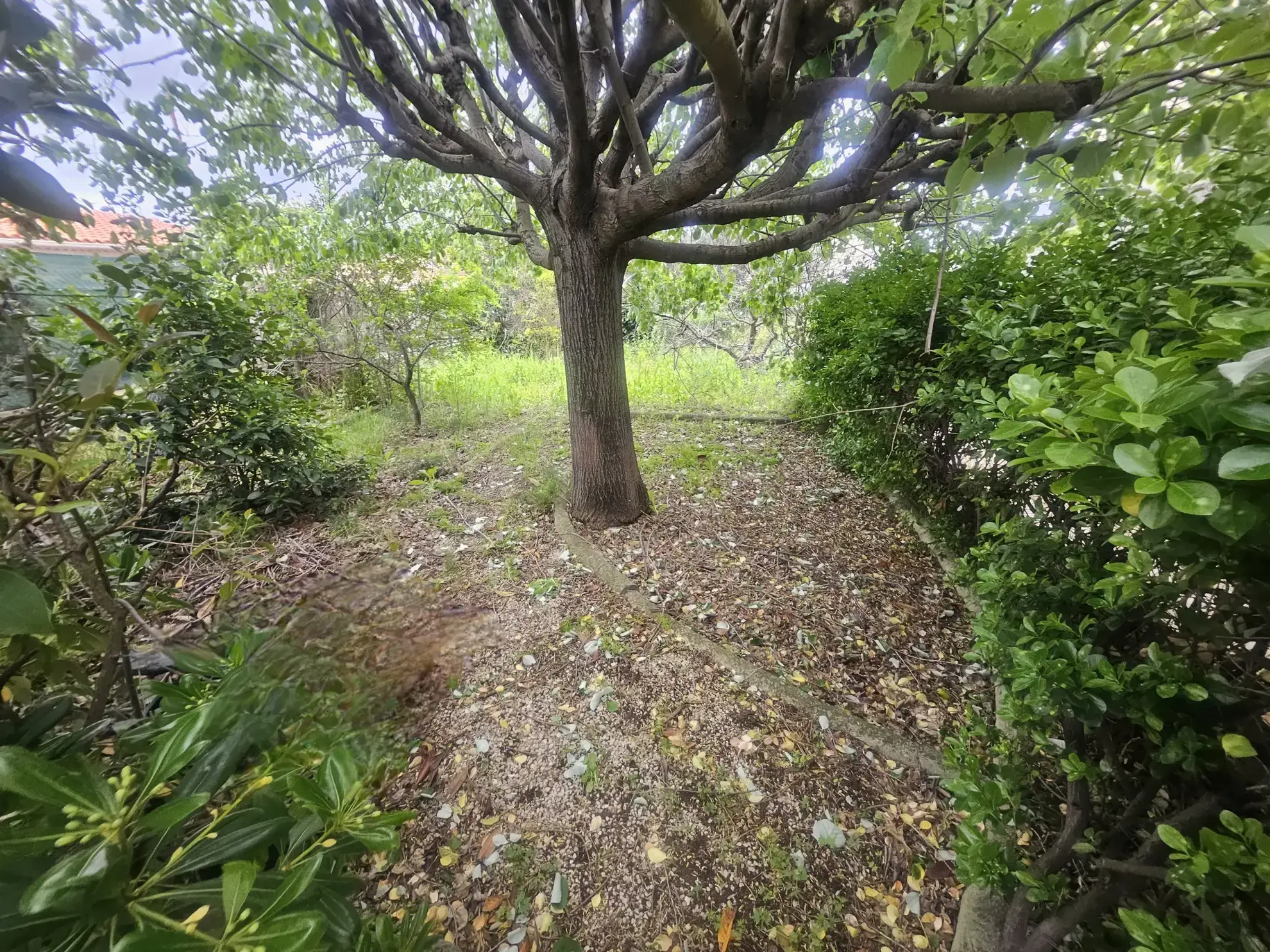 Maison à rénover de 99 m² avec grand terrain à Marseille - La Viste 