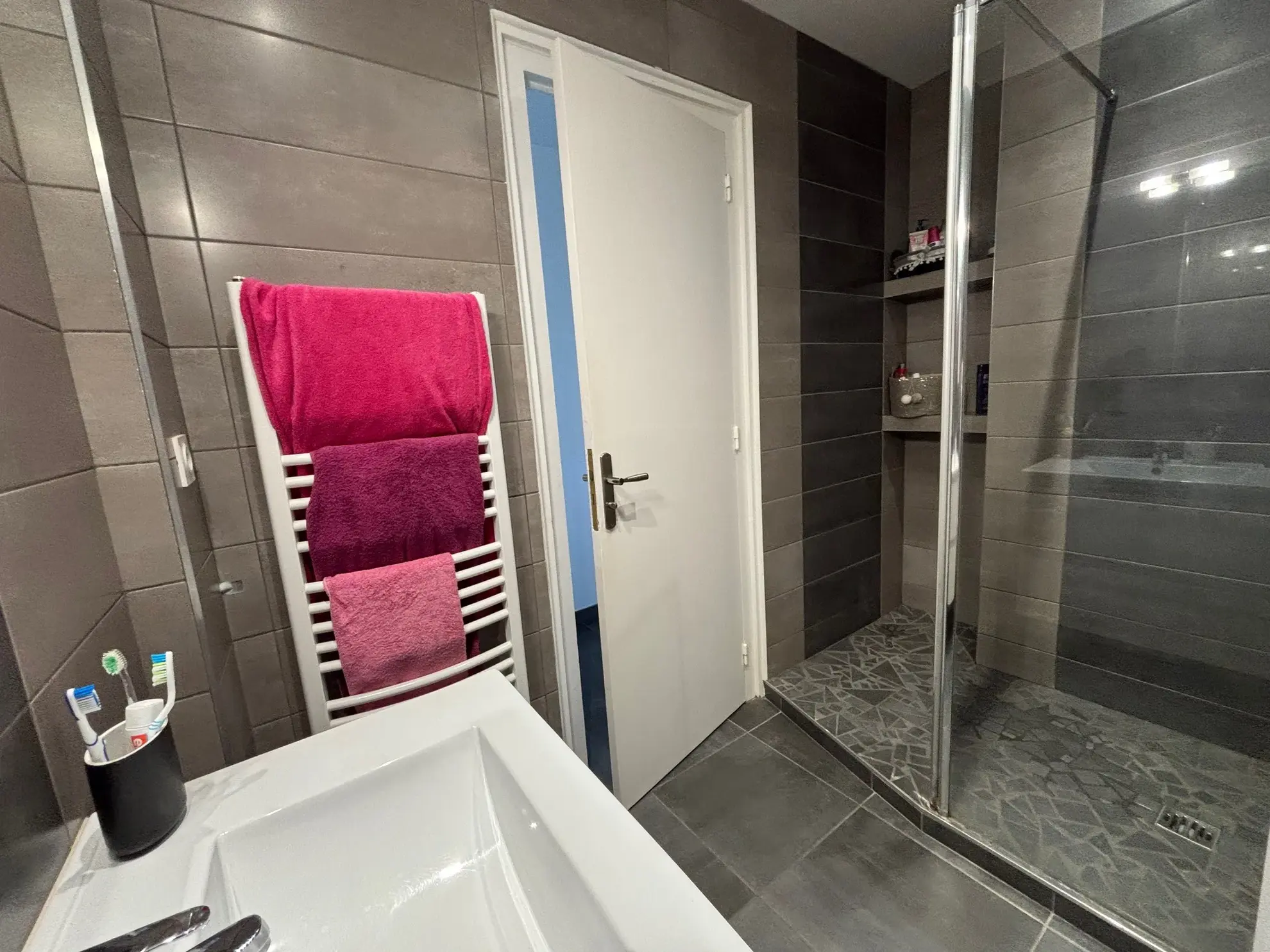 Appartement T4 rénové de 77,01 m² avec balcon à Saint-Étienne 