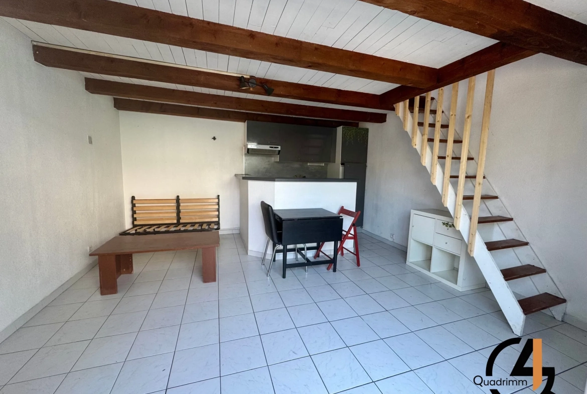 Appartement duplex avec terrasse à Montpellier - Quartier Hopitaux Facultés 