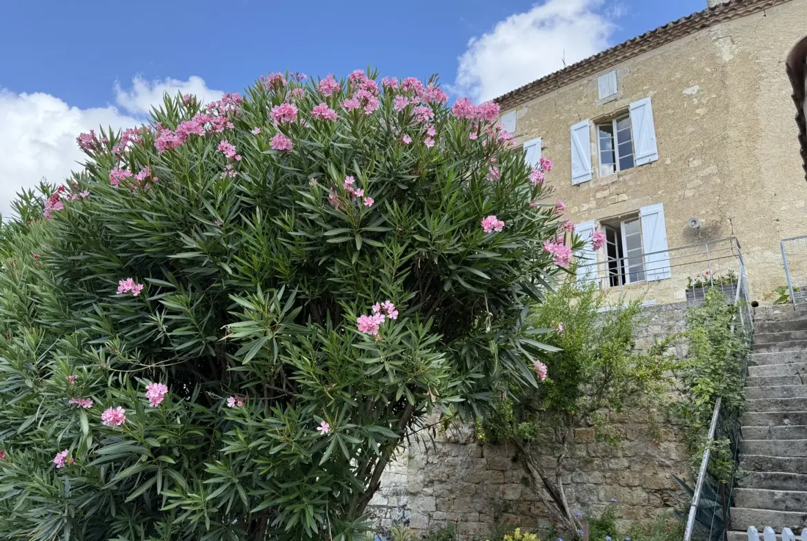 Charmante maison de village avec piscine et jardin exposé sud, proche de Condom 