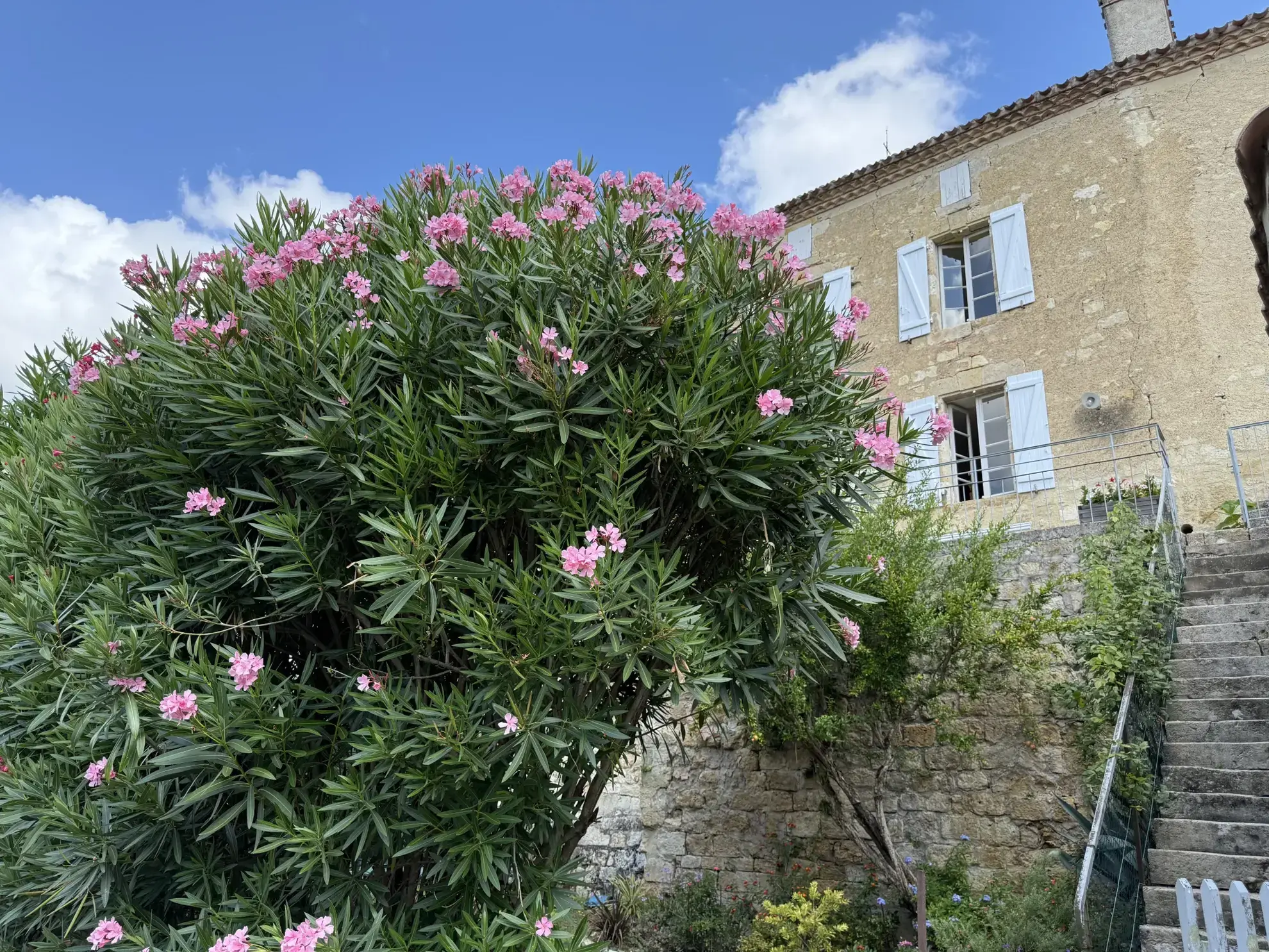 Charmante maison de village avec piscine et jardin exposé sud, proche de Condom 