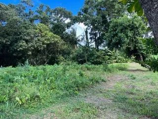 Terrain constructible de 2 955 m² au Morne-Rouge - Opportunité à saisir 