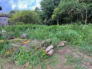 Terrain constructible de 2 955 m² au Morne-Rouge - Opportunité à saisir 