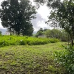 Terrain constructible de 2 955 m² au Morne-Rouge - Opportunité à saisir