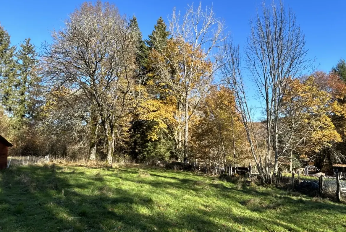 Maison en pierre rénovée avec terrain à Grandsaigne, proche d'Egletons 